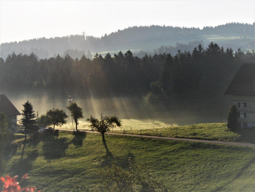 Bio-Bauernhof Heidegger Villa Möggers Екстериор снимка