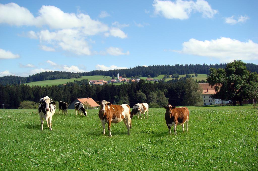 Bio-Bauernhof Heidegger Villa Möggers Екстериор снимка