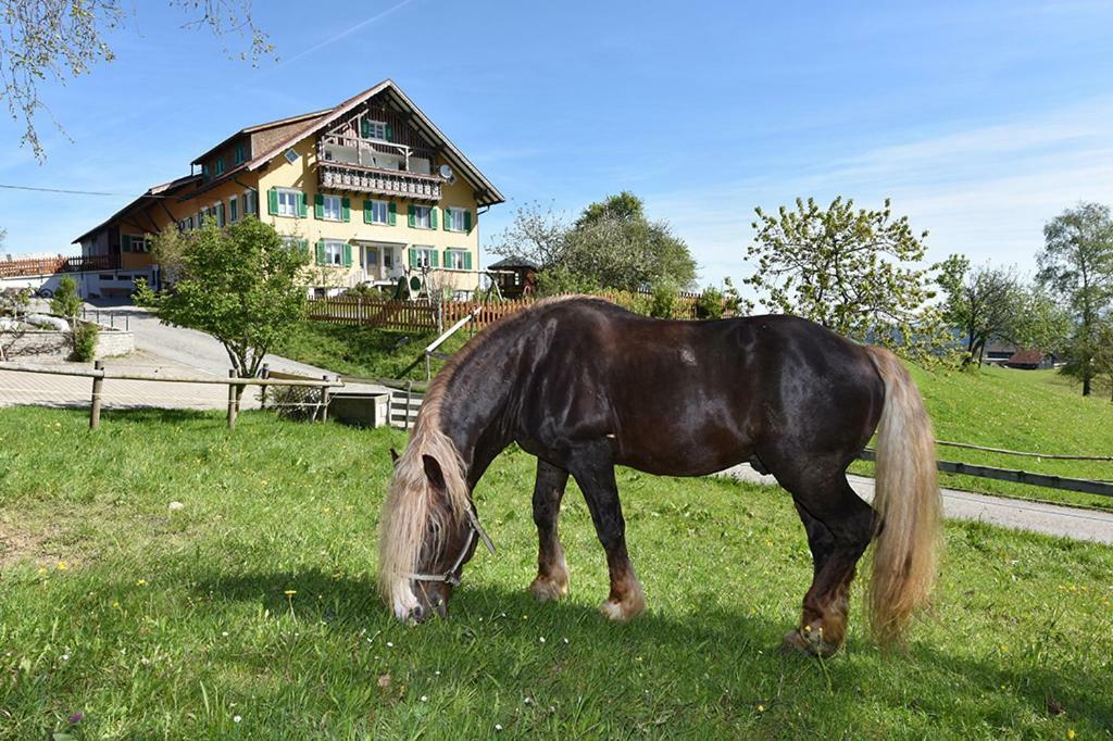 Bio-Bauernhof Heidegger Villa Möggers Екстериор снимка